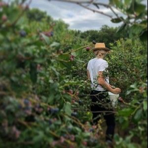 Meet your Posher, Nicole